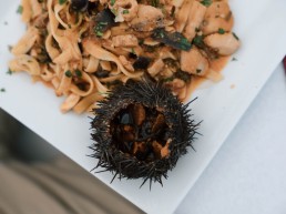 Primesurf Sicily Kites